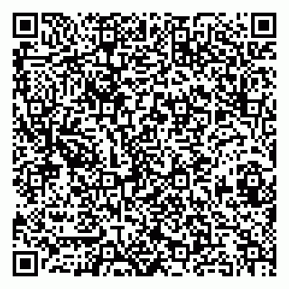 vCard 79813009281