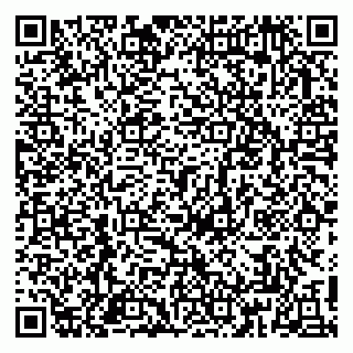 vCard 79813009309