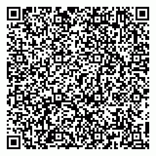 vCard 79813009382