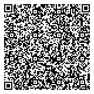 vCard 79813009407