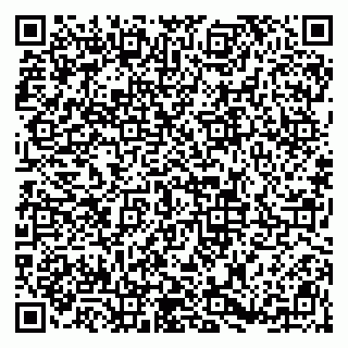 vCard 79813009408