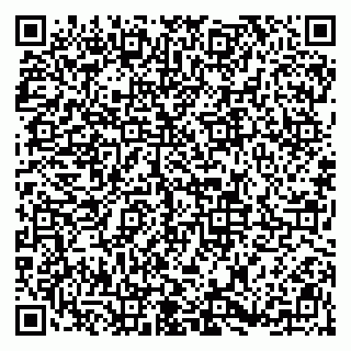 vCard 79813009409