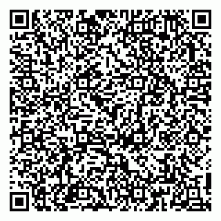 vCard 79813009500
