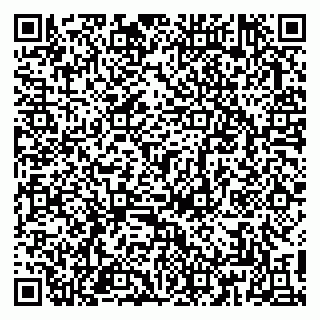 vCard 79813009503