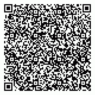 vCard 79813009504