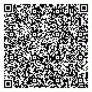vCard 79813010133