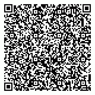 vCard 79813010138