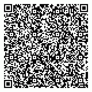 vCard 79813010204