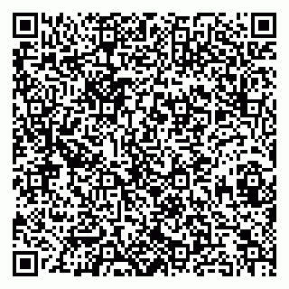 vCard 79813010285