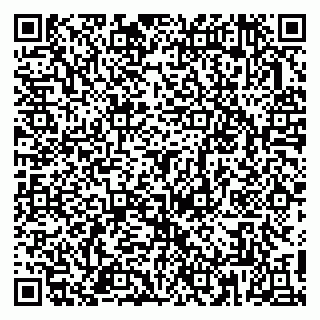 vCard 79813010331