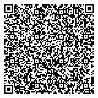 vCard 79813010341