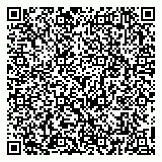 vCard 79813010345