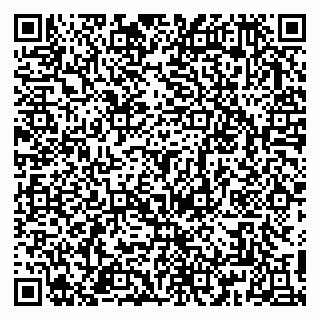 vCard 79813010380