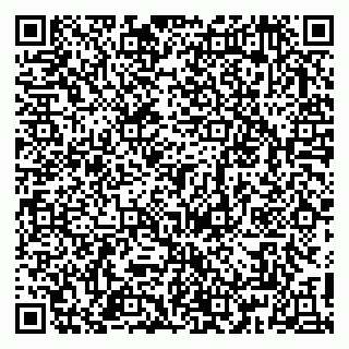 vCard 79813010389