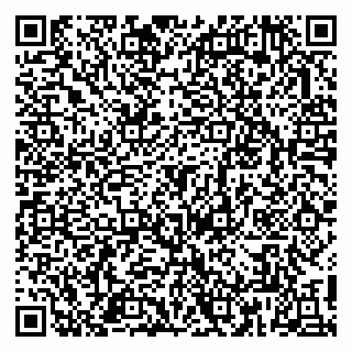 vCard 79813010411