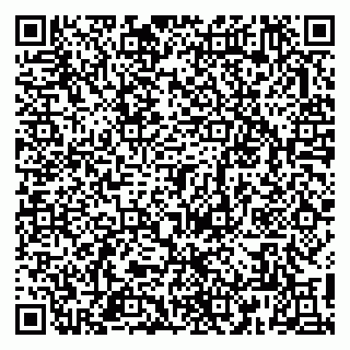 vCard 79813010497