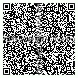 vCard 79813010533