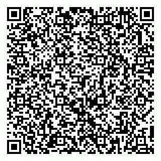 vCard 79813010839