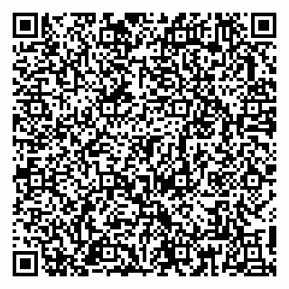 vCard 79813011027