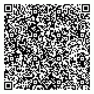 vCard 79813013131
