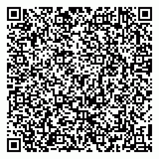 vCard 79813013183