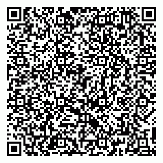vCard 79813245880