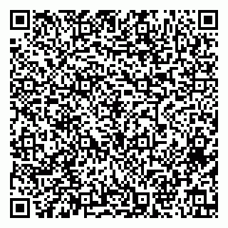 vCard 79813246729