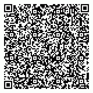 vCard 79813247384