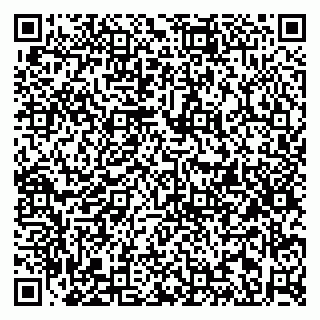 vCard 79813247709