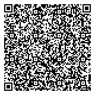 vCard 79813249704