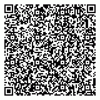vCard 79813249731