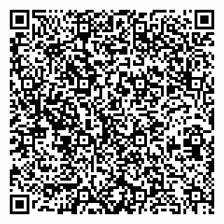 vCard 79813249732