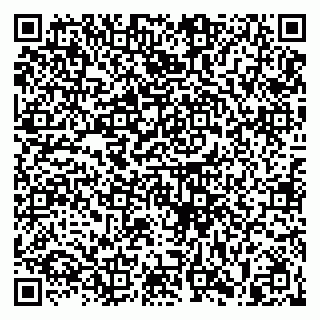 vCard 79813400100