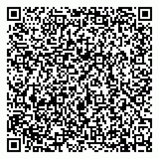 vCard 79813400103