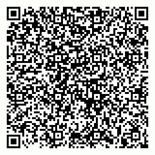 vCard 79813400218