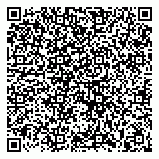 vCard 79813400228