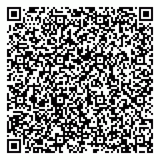 vCard 79813400231