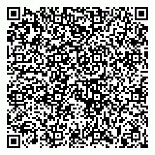 vCard 79813400238