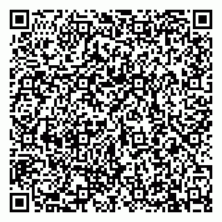 vCard 79813400251