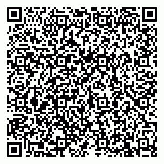 vCard 79813400263