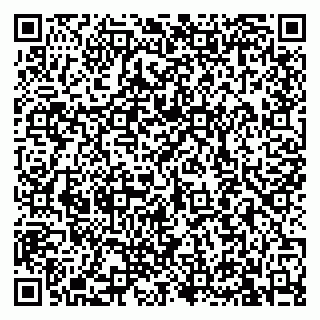 vCard 79813400281