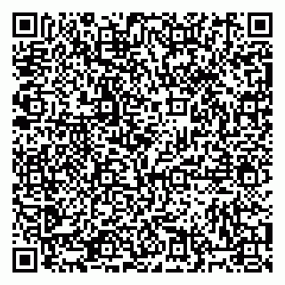 vCard 79813400285