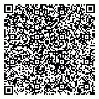 vCard 79813400287
