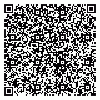 vCard 79813400301