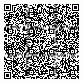 vCard 79813400317