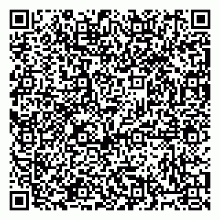 vCard 79813400331