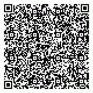 vCard 79813400332