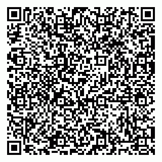 vCard 79813400334