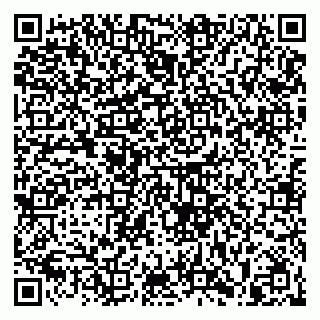 vCard 79813400382