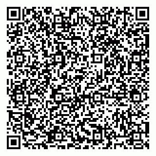 vCard 79813400384